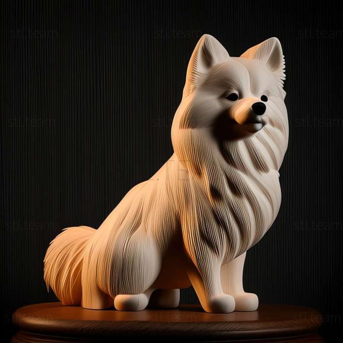 3D model Norbotten Spitz dog (STL)